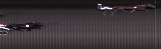 Målfoto for løp 8 på bane MO den 18.11.2014