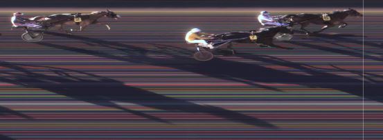 Målfoto for løp 1 på bane MO den 25.11.2014