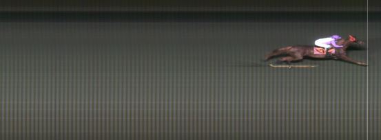 Målfoto for løp 2 på bane MO den 09.12.2014