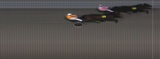 Målfoto for løp 1 på bane MO den 03.02.2015