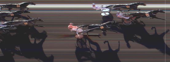 Målfoto for løp 11 på bane MO den 21.03.2015