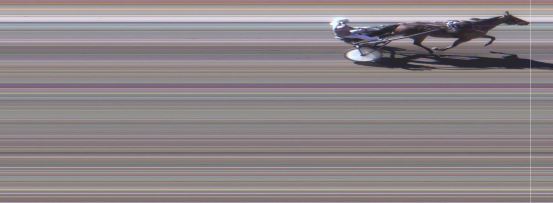 Målfoto for løp 6 på bane MO den 21.04.2015