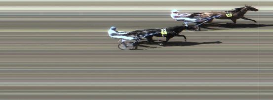 Målfoto for løp 1 på bane MO den 09.06.2015