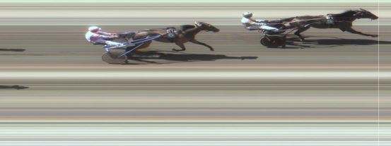 Målfoto for løp 4 på bane MO den 09.06.2015