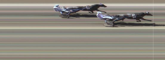 Målfoto for løp 5 på bane MO den 09.06.2015