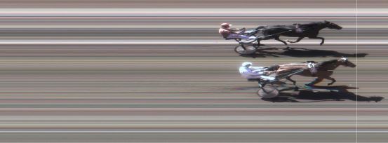 Målfoto for løp 8 på bane MO den 09.06.2015