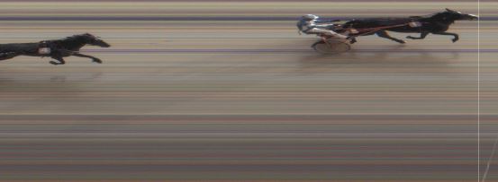 Målfoto for løp 8 på bane MO den 23.06.2015