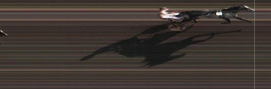 Målfoto for løp 5 på bane MO den 14.07.2015