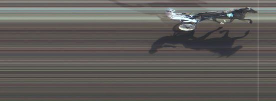 Målfoto for løp 4 på bane MO den 15.08.2015