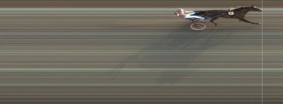 Målfoto for løp 7 på bane MO den 15.08.2015