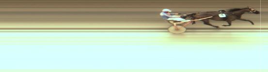 Målfoto for løp 5 på bane MO den 25.08.2015