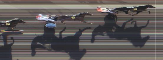 Målfoto for løp 1 på bane MO den 08.09.2015