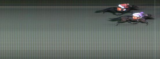 Målfoto for løp 8 på bane MO den 13.10.2015