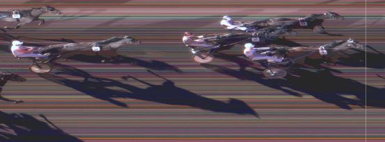 Målfoto for løp 5 på bane MO den 17.10.2015