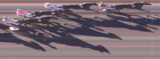 Målfoto for løp 6 på bane MO den 17.10.2015