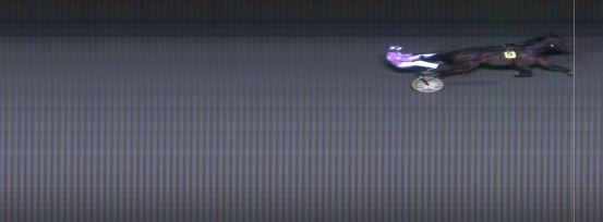 Målfoto for løp 1 på bane MO den 10.11.2015