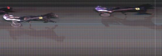 Målfoto for løp 1 på bane MO den 17.11.2015