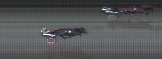 Målfoto for løp 4 på bane MO den 17.11.2015