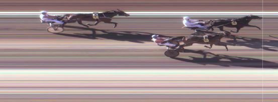 Målfoto for løp 1 på bane MO den 23.02.2016