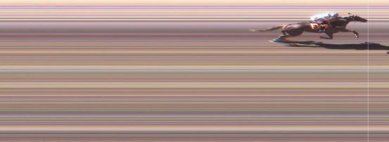 Målfoto for løp 1 på bane MO den 19.04.2016