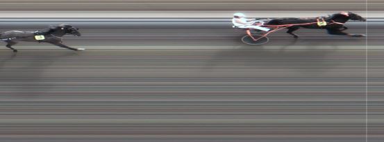 Målfoto for løp 1 på bane MO den 03.05.2016