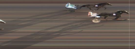 Målfoto for løp 8 på bane MO den 31.05.2016