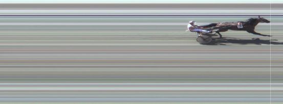 Målfoto for løp 5 på bane MO den 07.06.2016