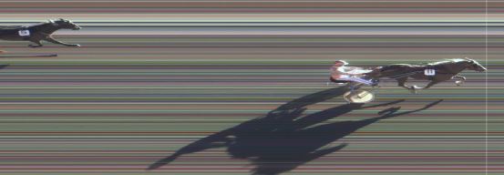 Målfoto for løp 5 på bane MO den 28.06.2016