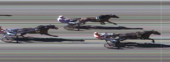 Målfoto for løp 1 på bane MO den 16.08.2016