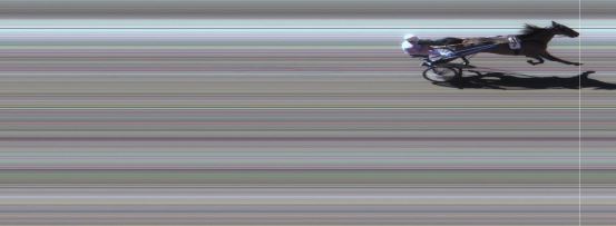 Målfoto for løp 5 på bane MO den 16.08.2016