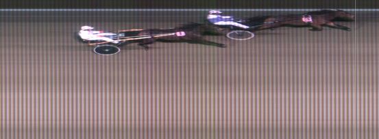 Målfoto for løp 10 på bane MO den 06.11.2016