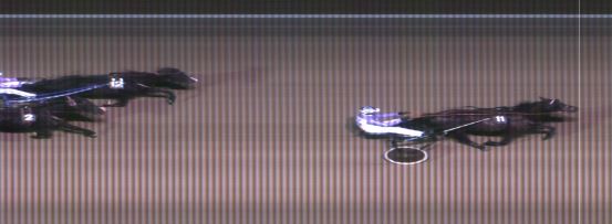 Målfoto for løp 6 på bane MO den 06.11.2016