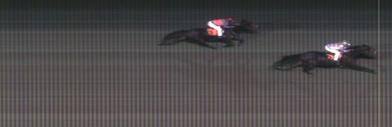 Målfoto for løp 7 på bane MO den 22.11.2016