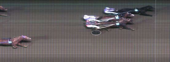 Målfoto for løp 4 på bane MO den 20.12.2016