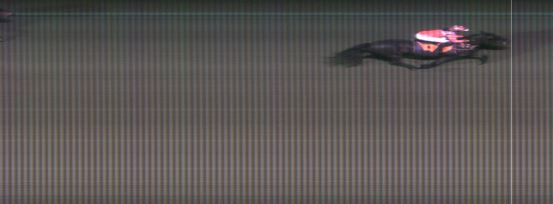 Målfoto for løp 8 på bane MO den 20.12.2016