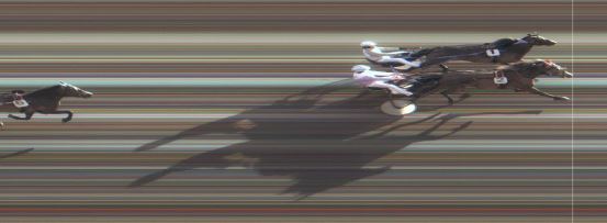 Målfoto for løp 5 på bane MO den 13.06.2017