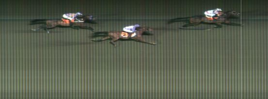 Målfoto for løp 8 på bane MO den 22.08.2017