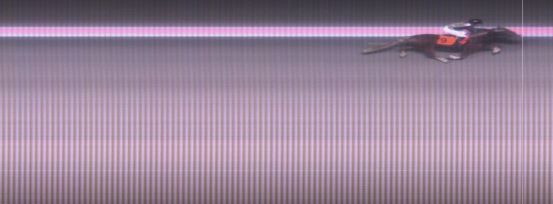 Målfoto for løp 2 på bane MO den 14.11.2017