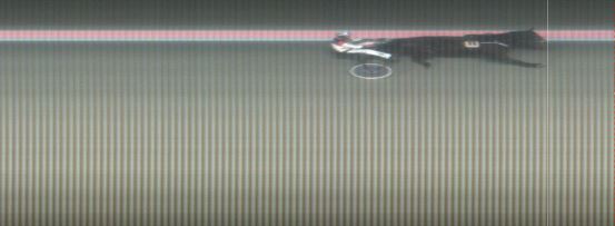 Målfoto for løp 7 på bane MO den 14.11.2017