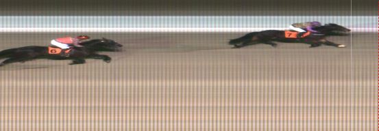 Målfoto for løp 8 på bane MO den 06.02.2018