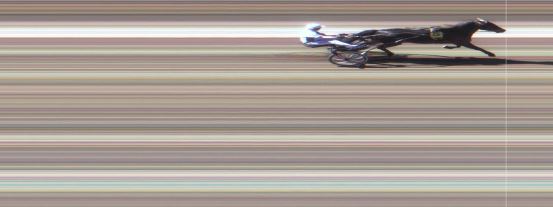 Målfoto for løp 1 på bane MO den 31.05.2018