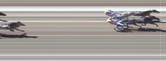 Målfoto for løp 4 på bane MO den 31.05.2018