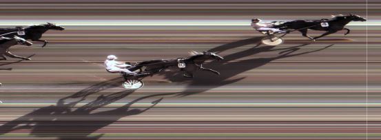 Målfoto for løp 5 på bane MO den 10.07.2018