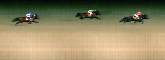 Målfoto for løp 3 på bane MO den 26.02.2019