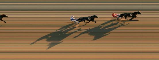 Målfoto for løp 5 på bane MO den 28.05.2019