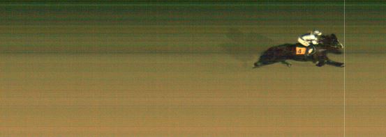 Målfoto for løp 8 på bane MO den 27.02.2022