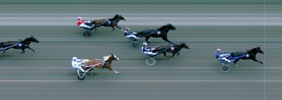 Målfoto for løp 8 på bane MO den 02.07.2024