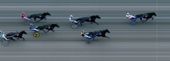 Målfoto for løp 8 på bane MO den 19.10.2024