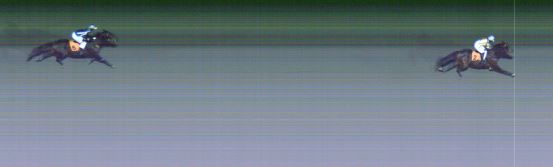 Målfoto for løp 7 på bane MO den 11.11.2024