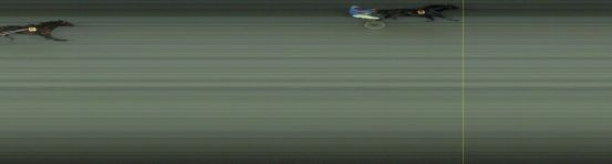 Målfoto for løp 11 på bane OA den 31.07.2022